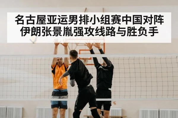 volleyball players blocking net